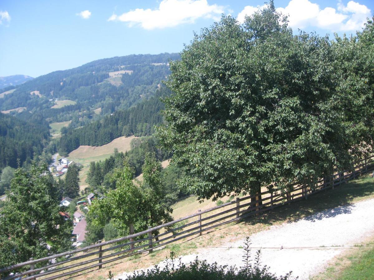 Bed and Breakfast Gerstbreinhof Bad Sankt Leonhard im Lavanttal Exteriér fotografie