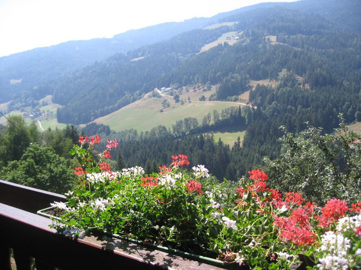 Bed and Breakfast Gerstbreinhof Bad Sankt Leonhard im Lavanttal Exteriér fotografie